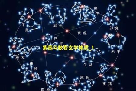 紫薇斗数有那么神奇