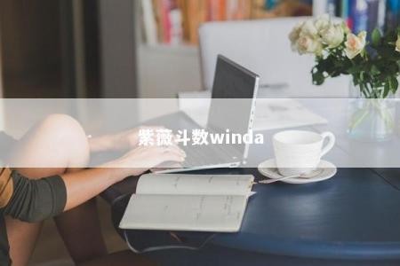紫薇斗数winda