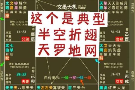紫薇斗数怎么看命理正缘