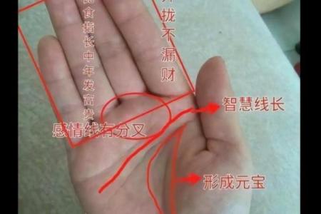 女性左手掌纹手相算命准吗