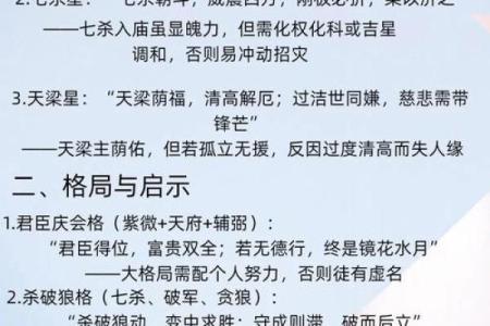紫薇斗数全文及翻译