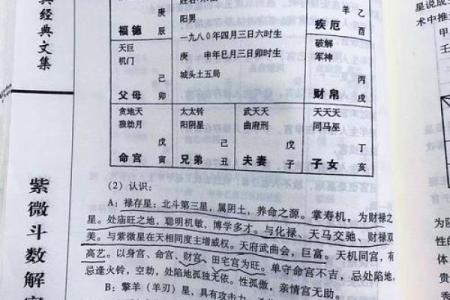 怎么理解紫薇斗数