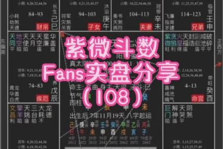 紫薇斗数长生