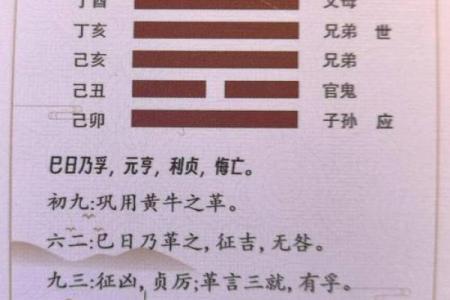 紫微斗数之八卦万物类象：兑卦详解