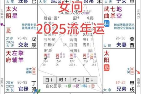 紫薇斗数太阳馅流年如何