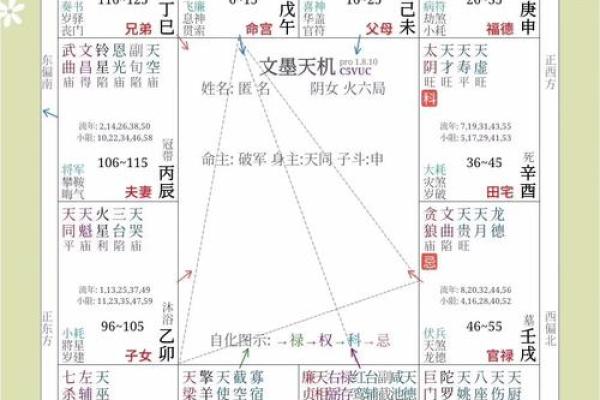 紫薇斗数可以看什么 紫薇斗数可以看什么