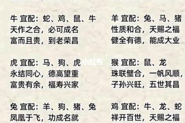 属相配对算命
