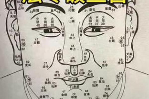 法令纹面相算命看看你命运好坏