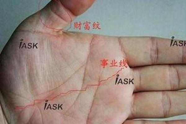 女人的事业线止于感情线命运如何风水
