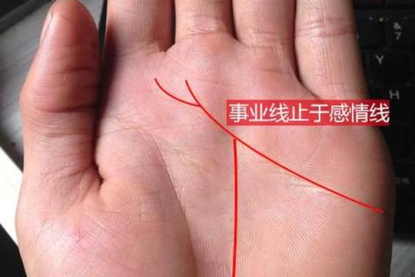 女人的事业线止于感情线命运如何风水