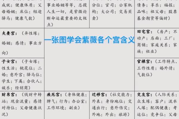 紫微斗数术语解释之：格局
