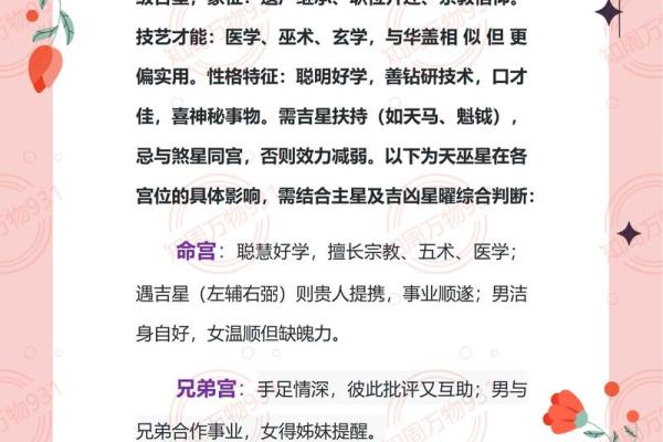 紫薇斗数天府星入十二宫