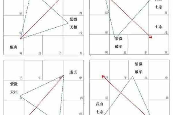 紫薇斗数廉贞星文昌同宫