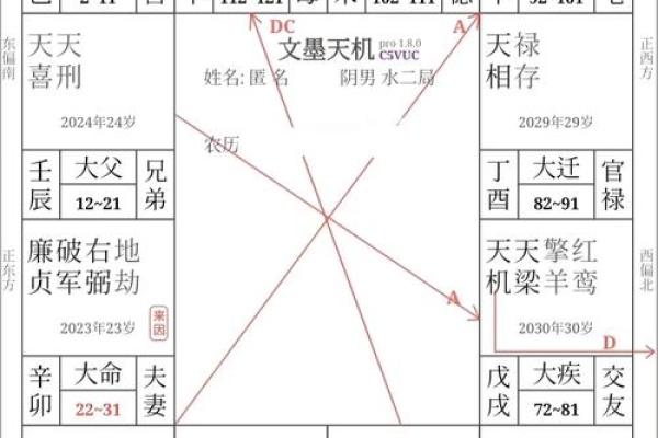 紫薇斗数廉贞星文昌同宫