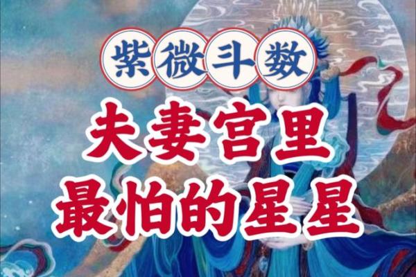 紫微斗数夫妻宫左辅星 女命夫妻宫有左辅星,对方是个怎样的人？