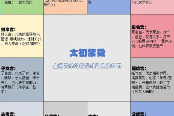 怎么学习紫薇斗数