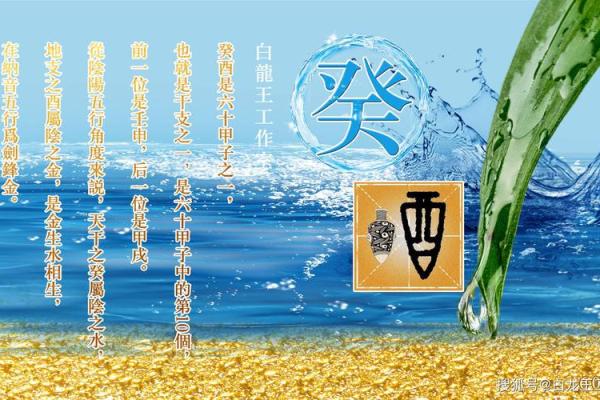 八字申酉辰