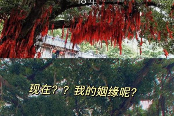 甘谷寺庙哪个签灵