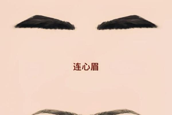 连心眉面相算命图解