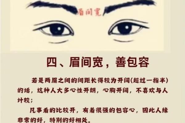 连心眉面相算命图解