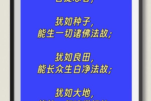 《华严经》577#小毛子遭难遇观音