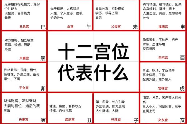博士紫薇斗数