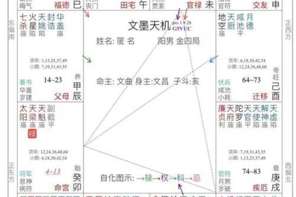 博士紫薇斗数