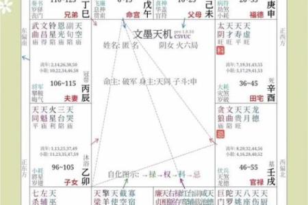 紫薇斗数可以看什么