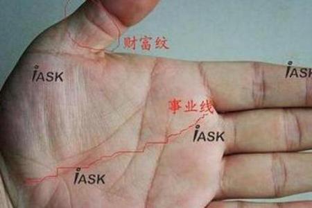 女人的事业线止于感情线命运如何风水