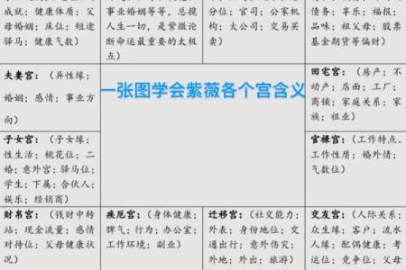 紫微斗数术语解释之：格局