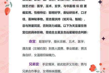 紫薇斗数天府星入十二宫