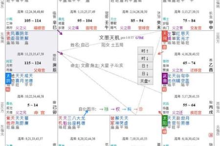 紫薇斗数入门术语