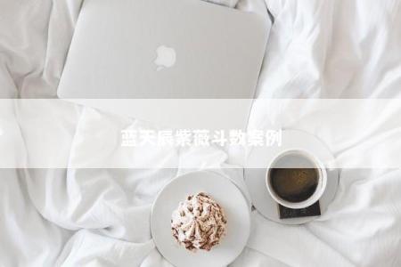 蓝天辰紫薇斗数案例