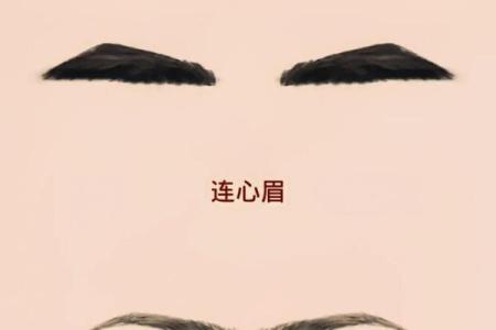 连心眉面相算命图解