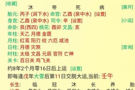全阳八字女