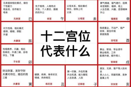 博士紫薇斗数