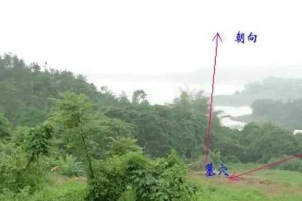 风水水冲攻略：如何发挥其更大作用
