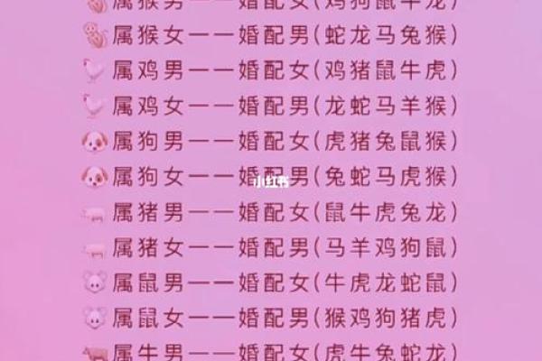 星座算命准还是属相算命准