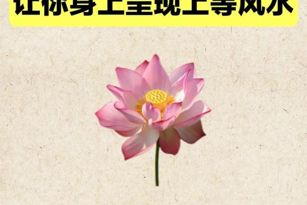 分享一些有利于官运的风水方法