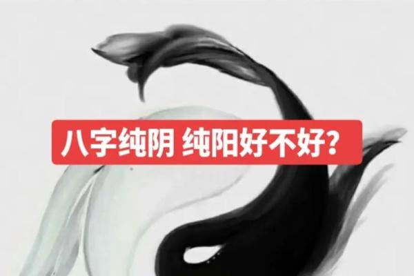 八字纯阳是天命之人 八字纯阳天生命旺