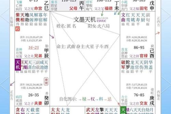 火星陀螺紫薇斗数