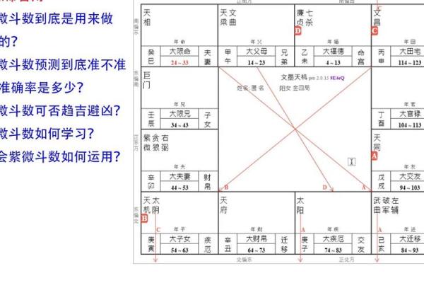免费看紫薇斗数