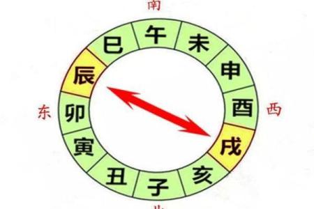 戌卯八字