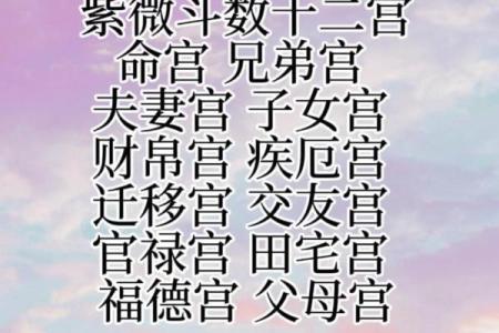 紫微斗数下世 紫微斗数!？