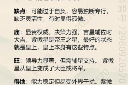 紫薇斗数反主