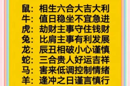 每日生肖运势黄历