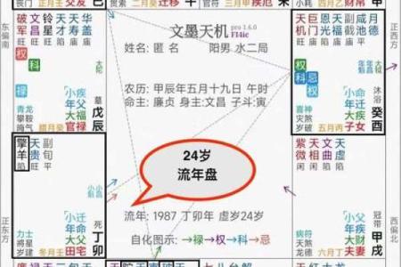 紫薇斗数命主禄存星