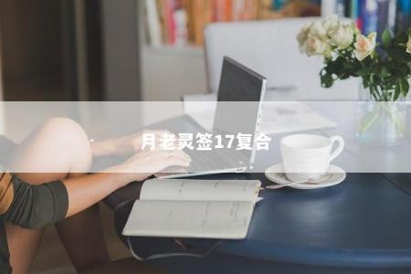 月老灵签17复合