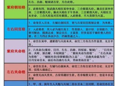 倪海厦紫微斗数案例08 倪海厦 紫薇斗数？