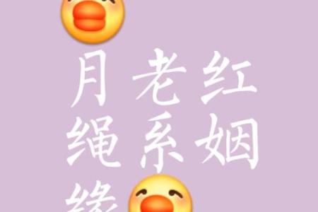 月老不赐姻缘